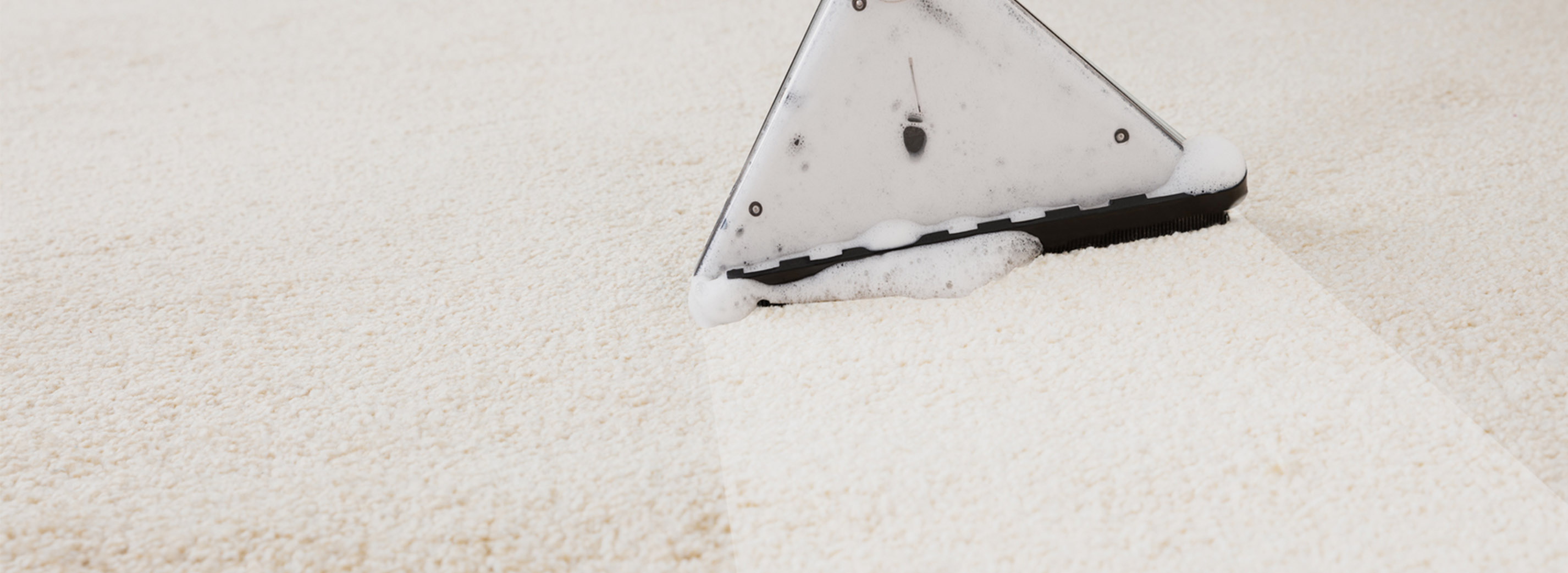Person Cleaning Carpet With Vacuum Cleaner Green & Clean Carpet